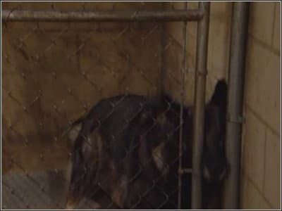 Still from Change for a Buck