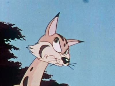 Still from The Wild Wildcat