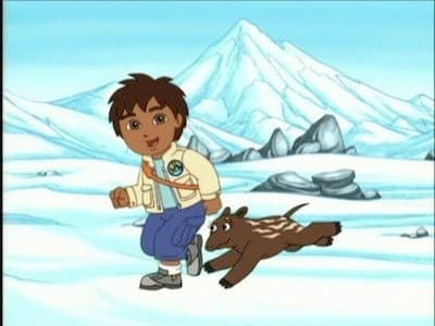 Still from The Tapir's Trip Home