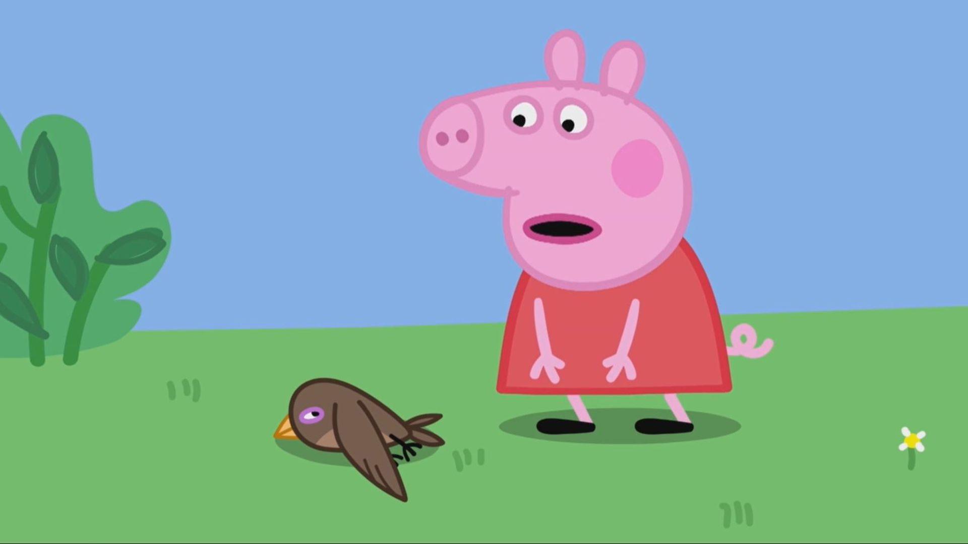 Still from Little Swift