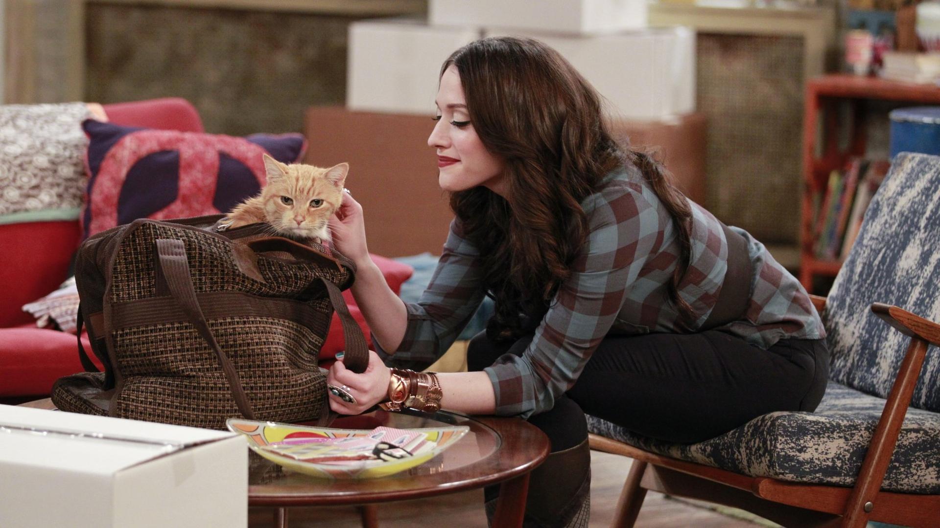 Still from And The Fat Cat