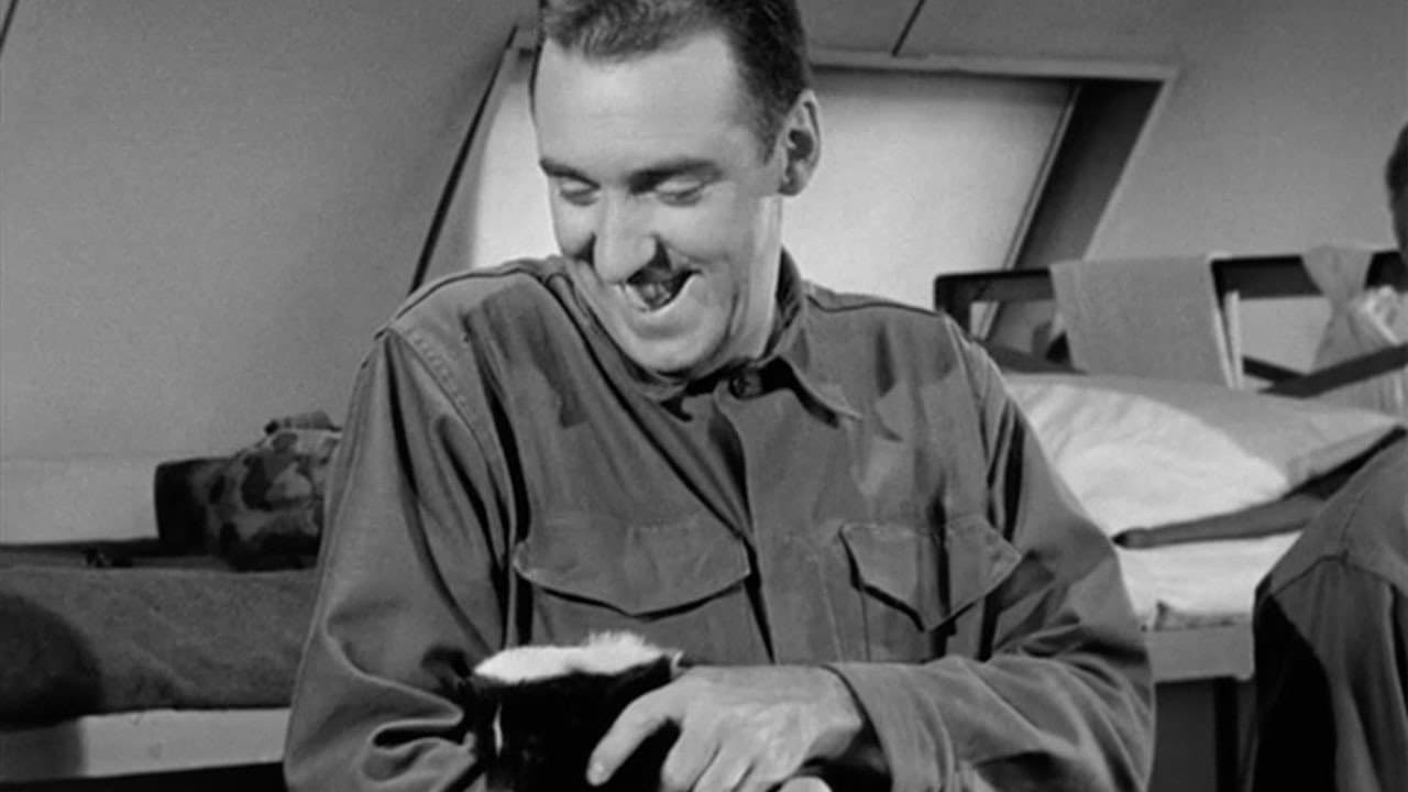 Still from Private Ralph Skunk