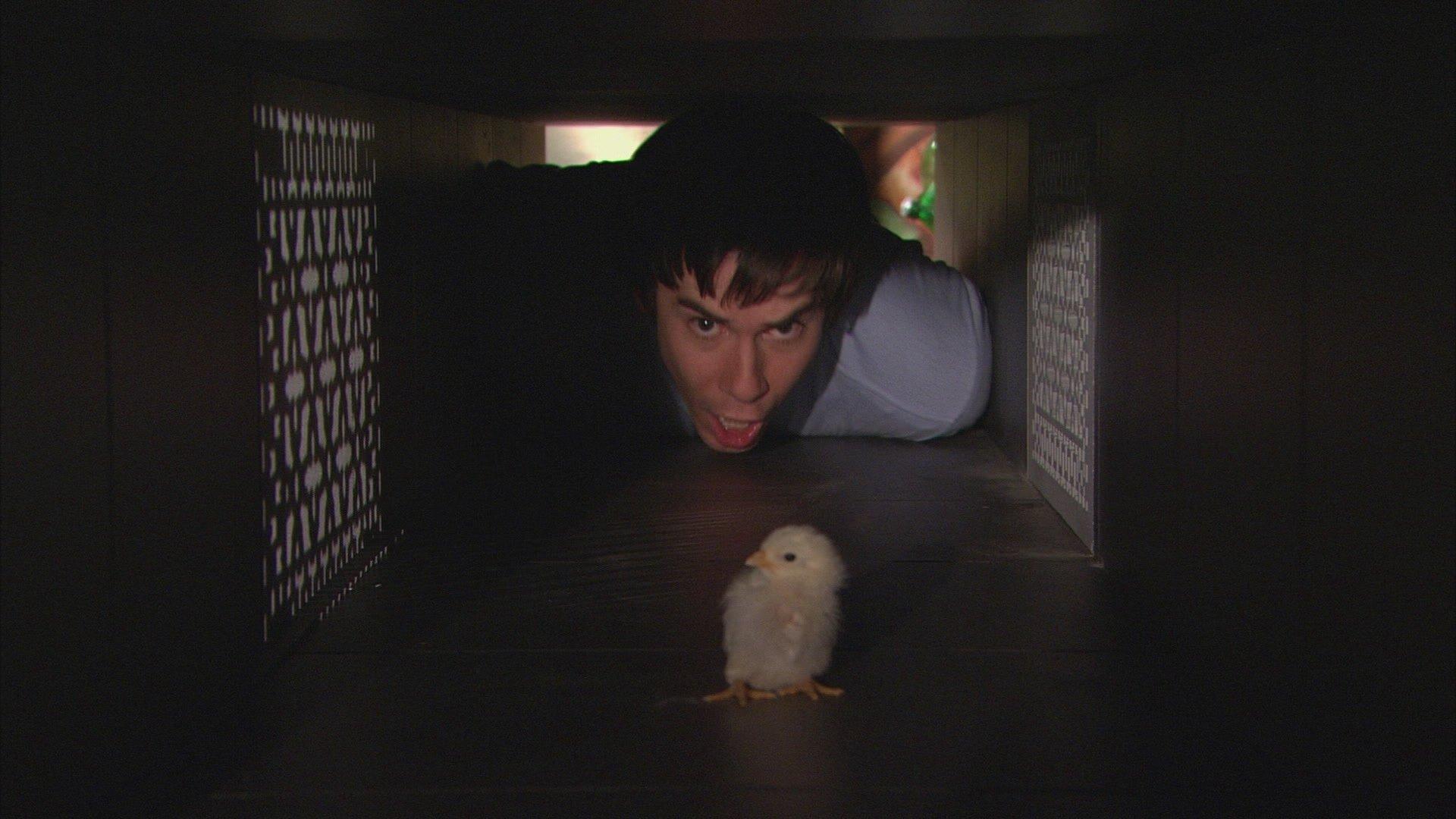 Still from iHatch Chicks