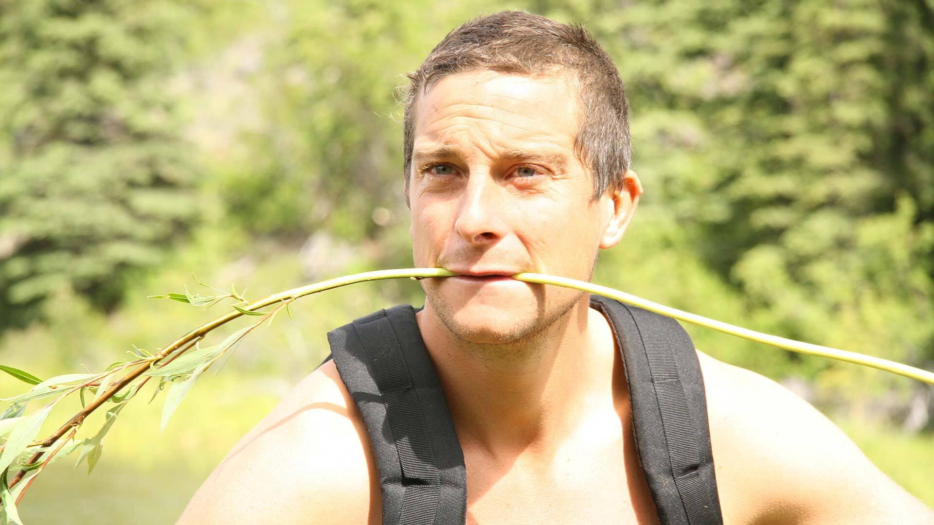 Still from Yukon