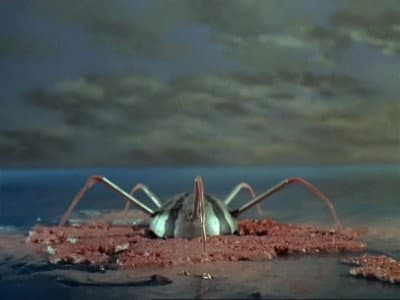 Still from Pink Ice