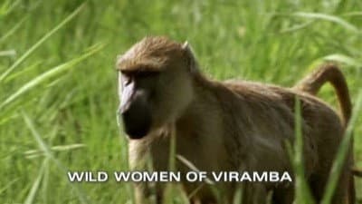 Still from Wild Women of Viramba