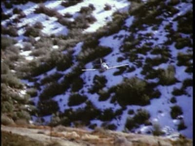 Still from A Flight of Hawks