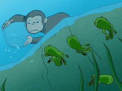 Still from Curious George Discovers the Poles