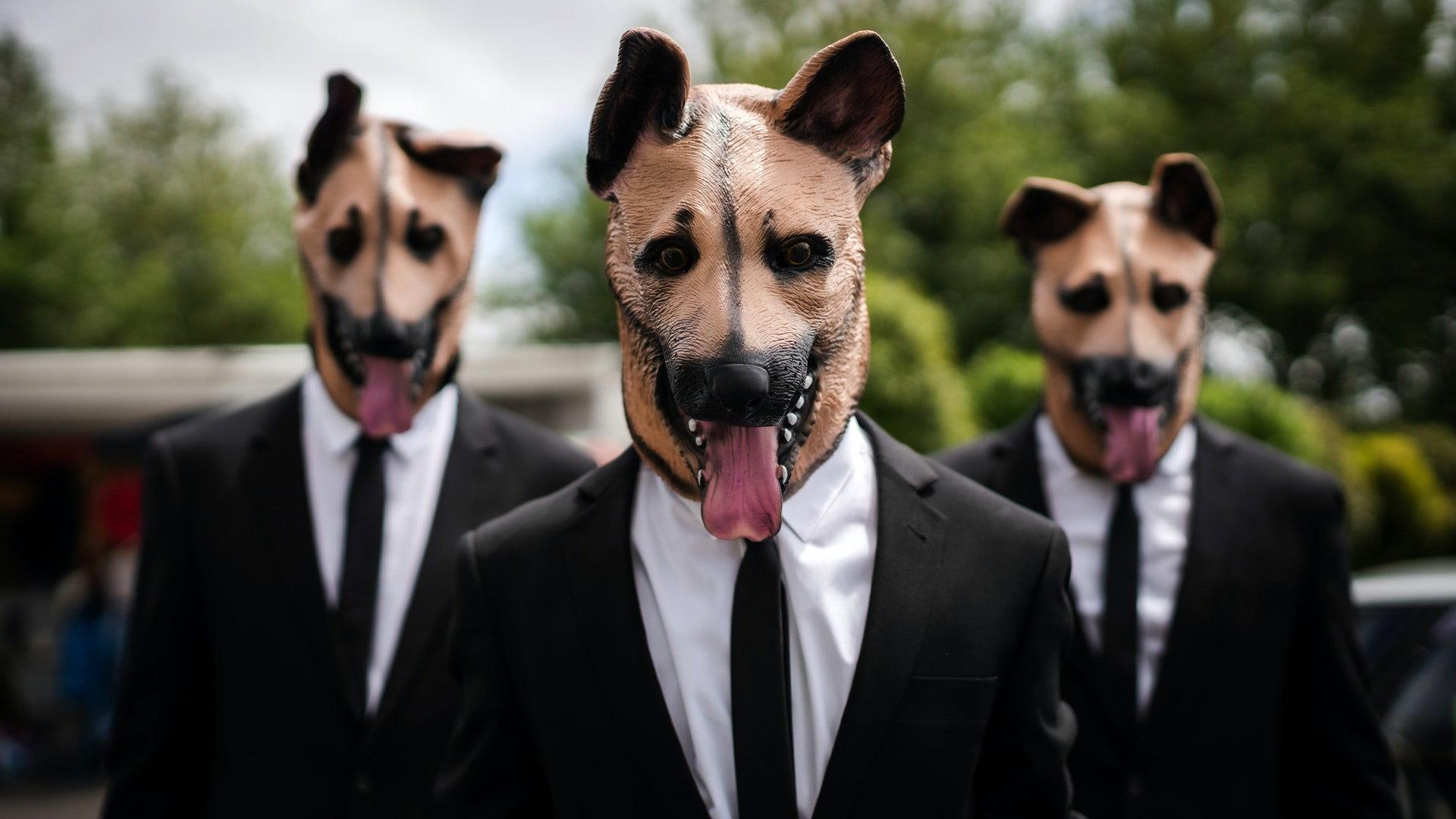 Still from Dog Day Morning
