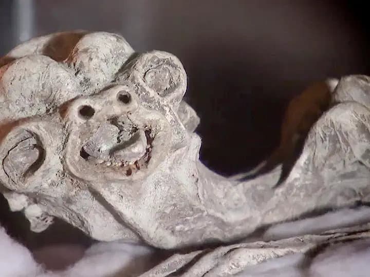Still from Cold-Blooded Horror
