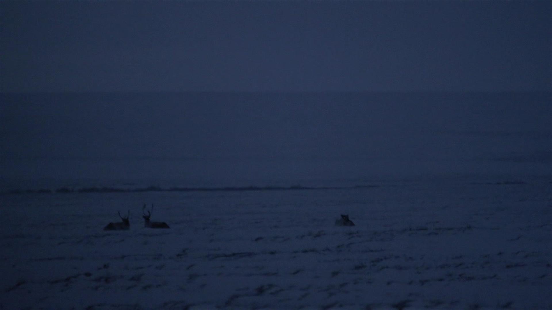 Still from Pulled from the Darkness