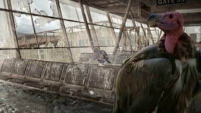 Still from Sky's The Limit