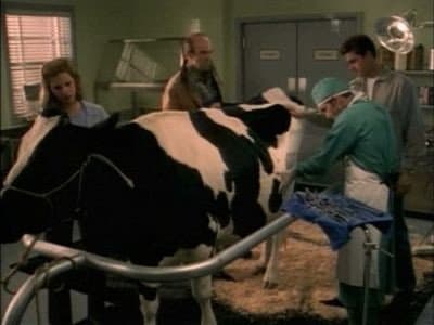 Still from Inhuman Nature