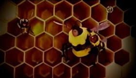 Still from Baby Bear is Afraid of Bees