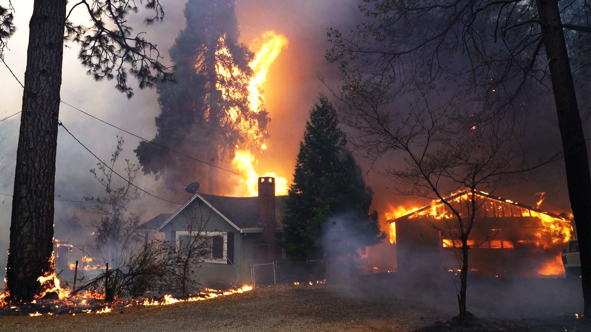 Still from Inside the Megafire