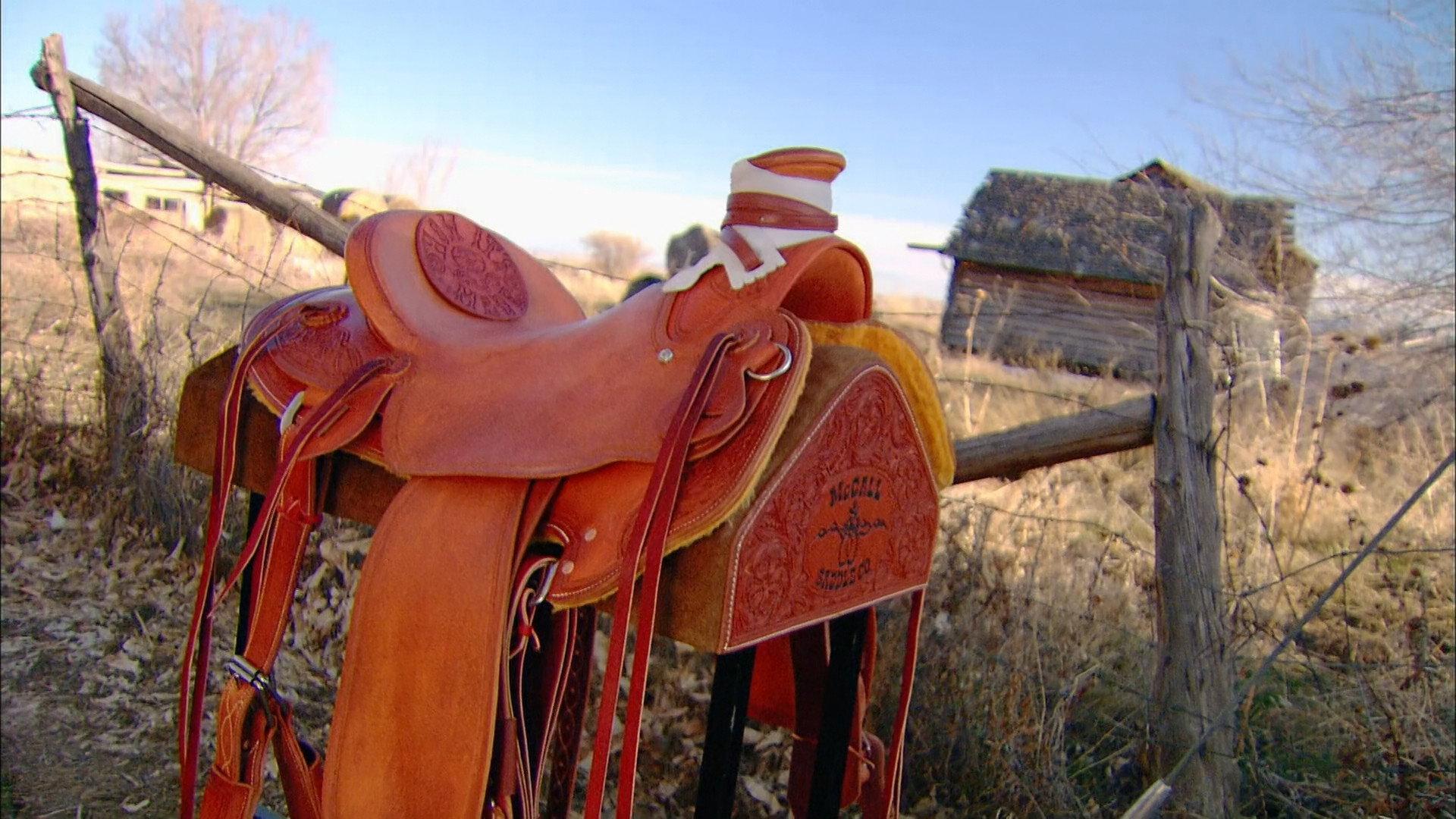 Still from Stuffed Olives, Astrolabes, Western Saddles