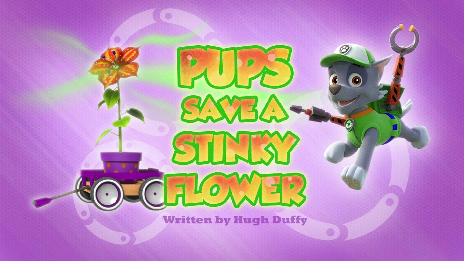 Still from Pups Save a Stinky Flower