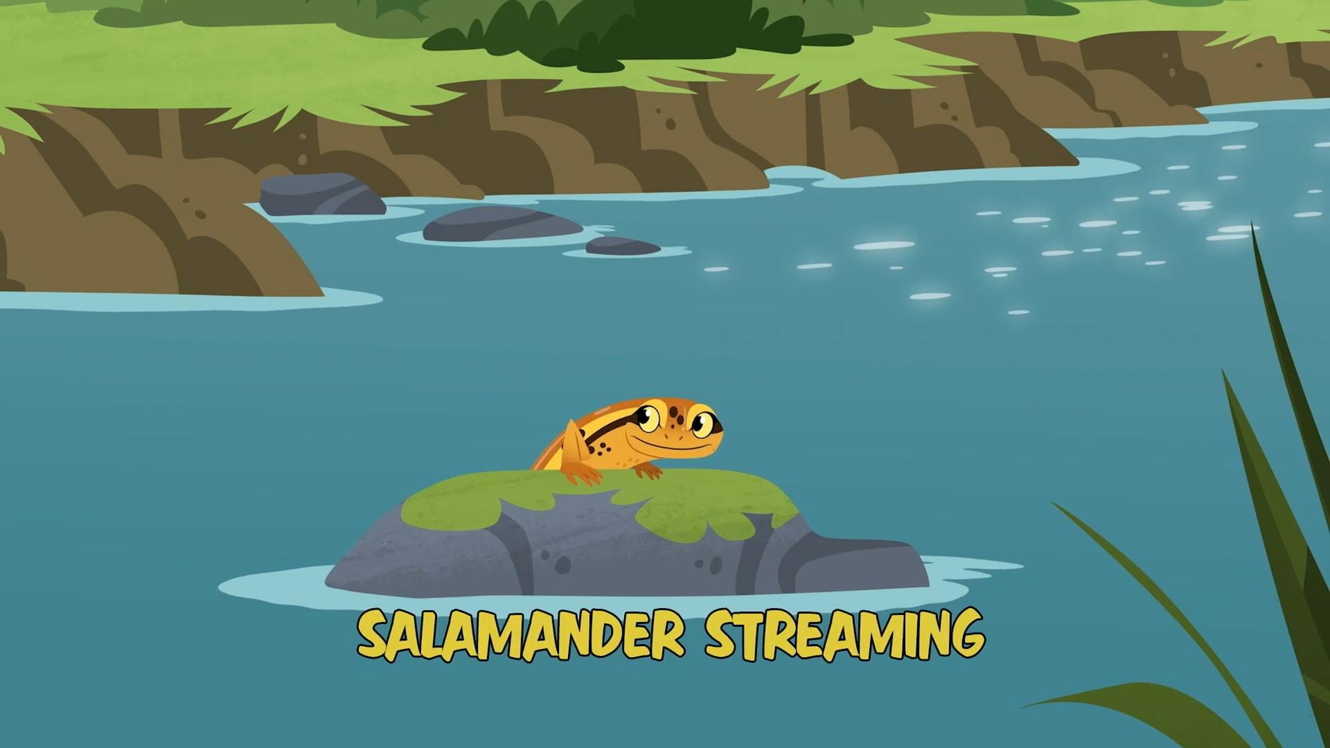Still from Salamander Streaming