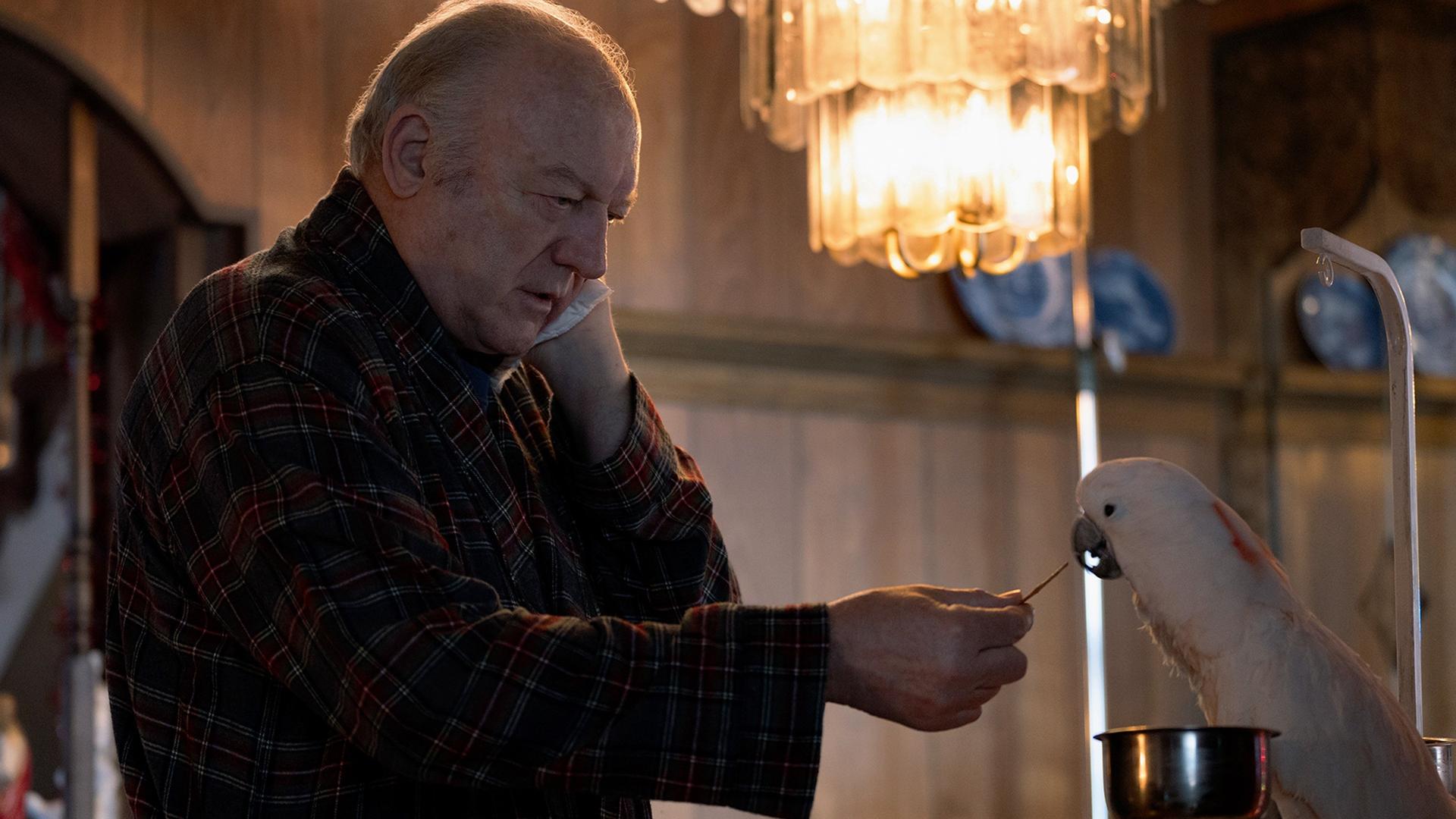 Still from Where Do You Go?