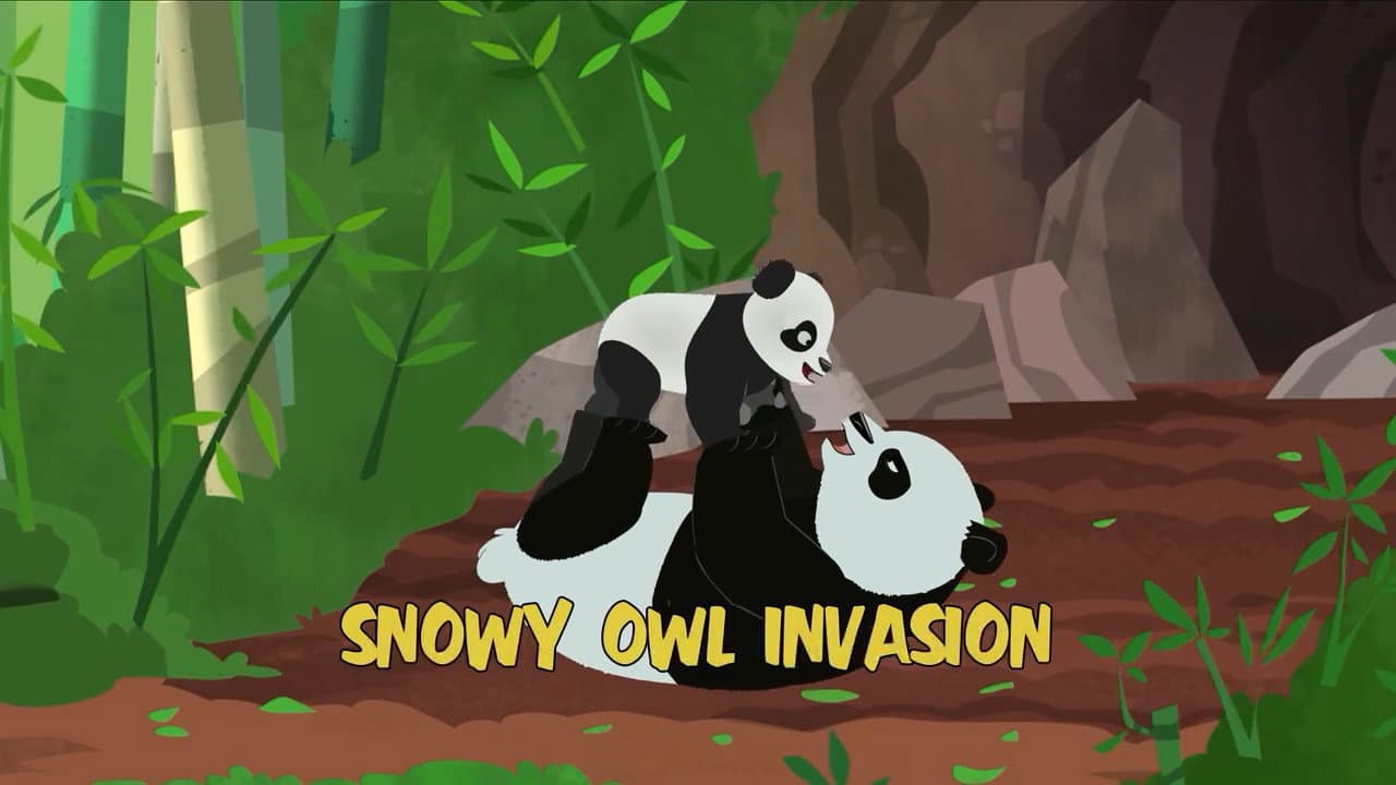 Still from Snowy Owl Invasion