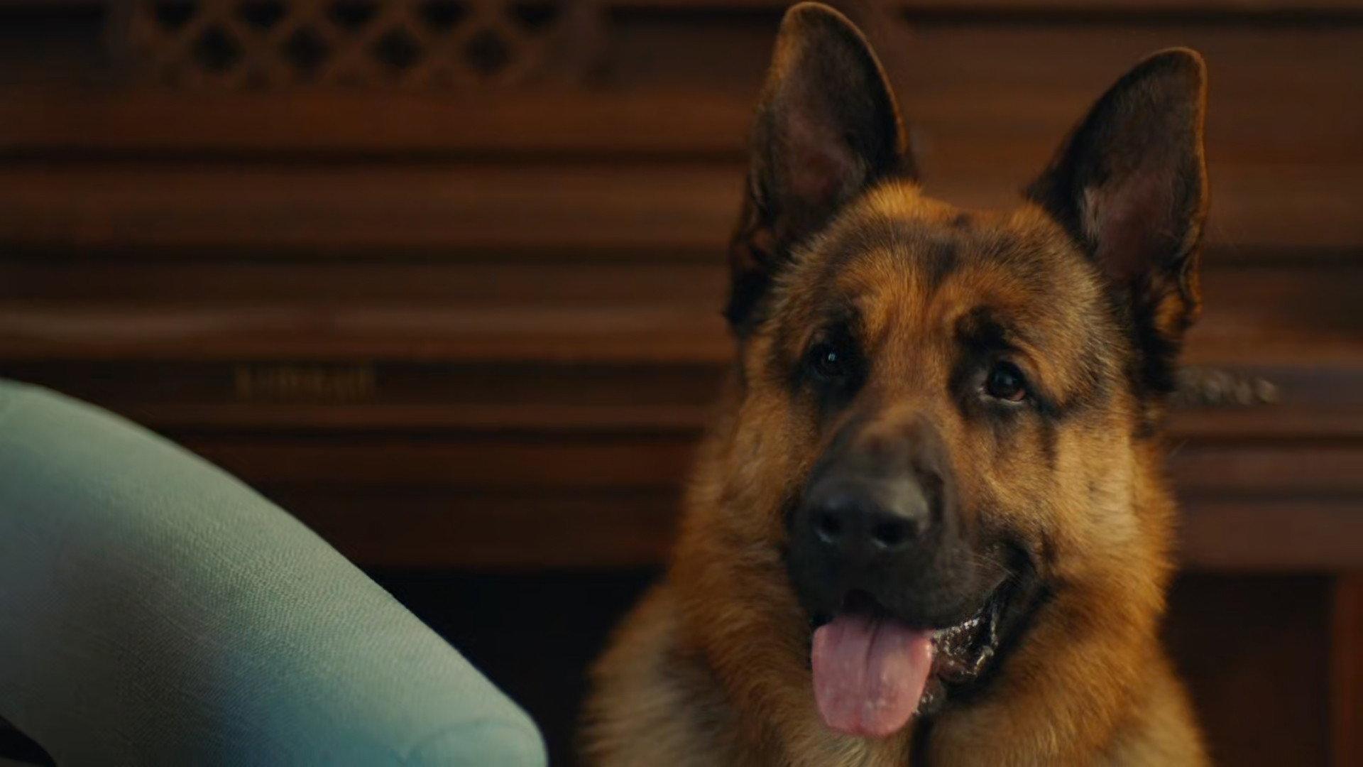 Still from In From the Cold