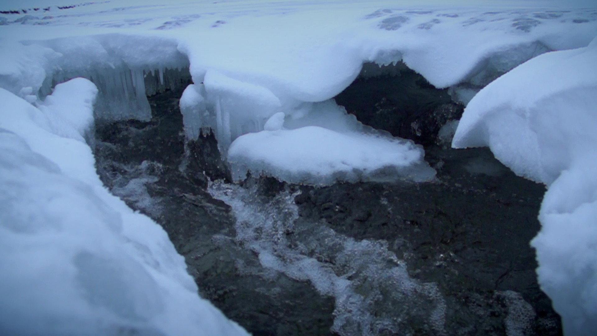 Still from Frigid Fortitudes