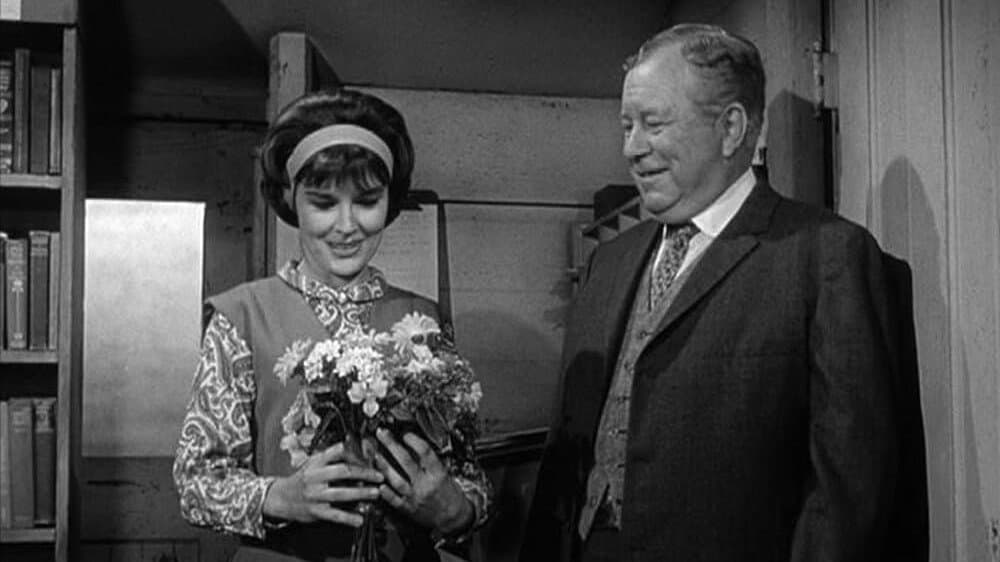 Still from Have Library, Will Travel