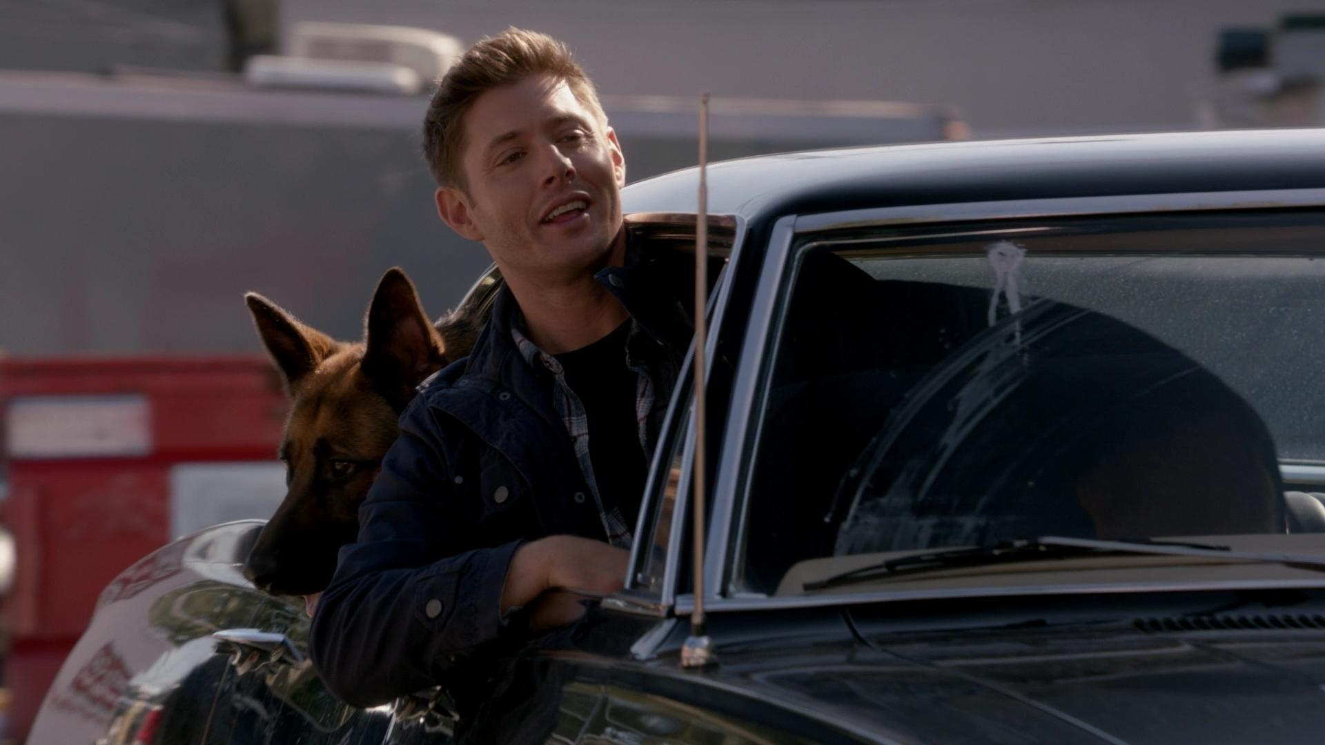 Still from Dog Dean Afternoon