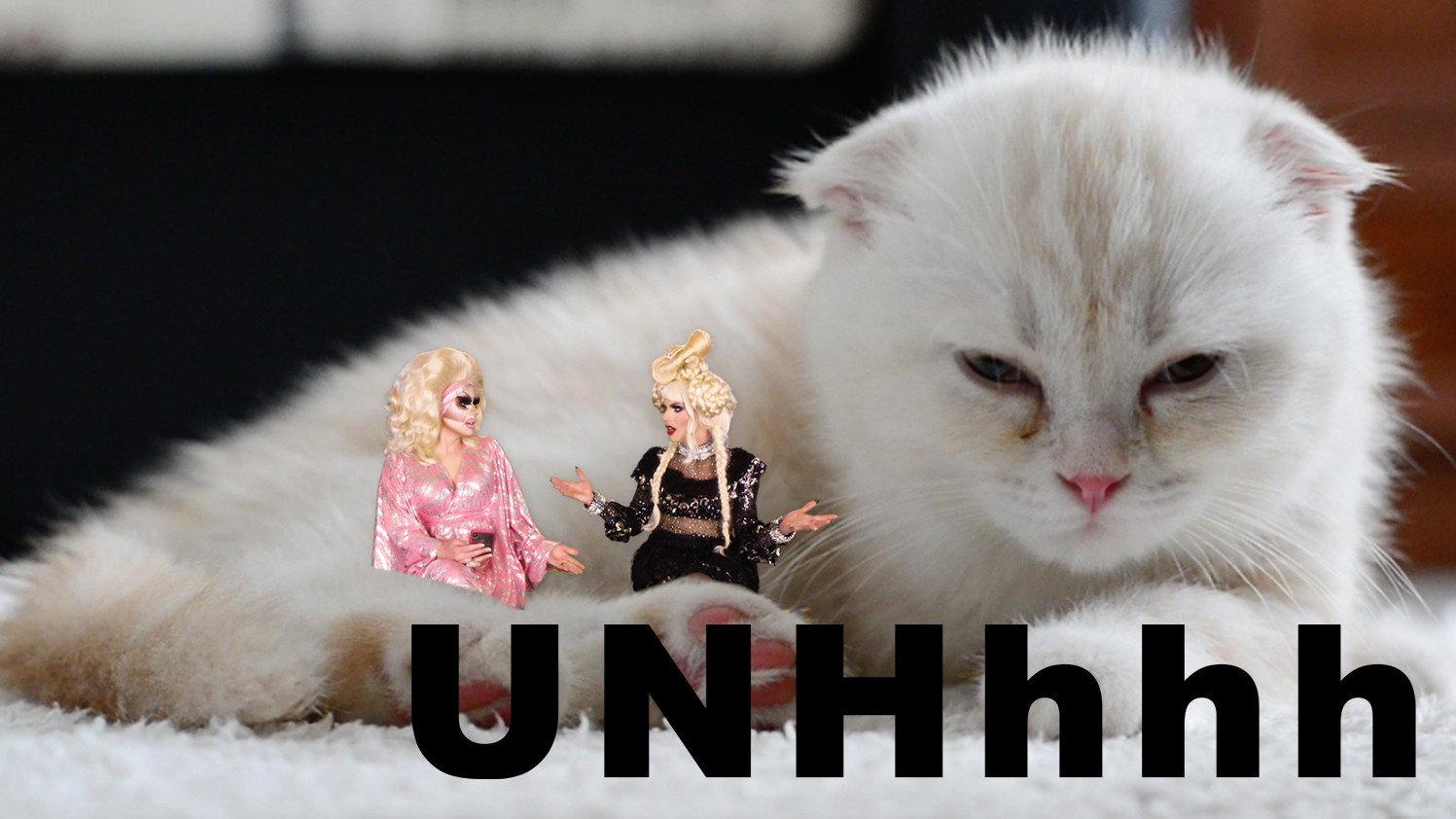 Still from Astrology Part 1: Katya's Taurus Truth
