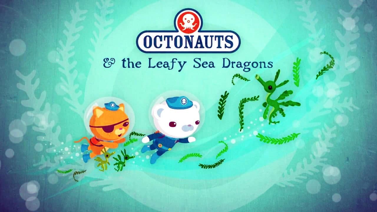 Still from The Leafy Sea Dragons