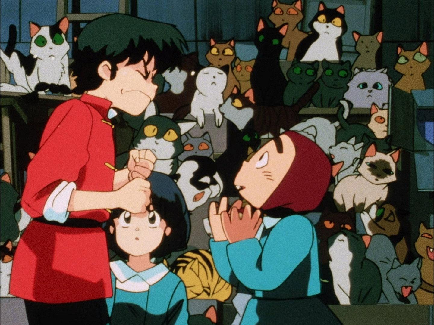 Still from You Really Do Hate Cats!