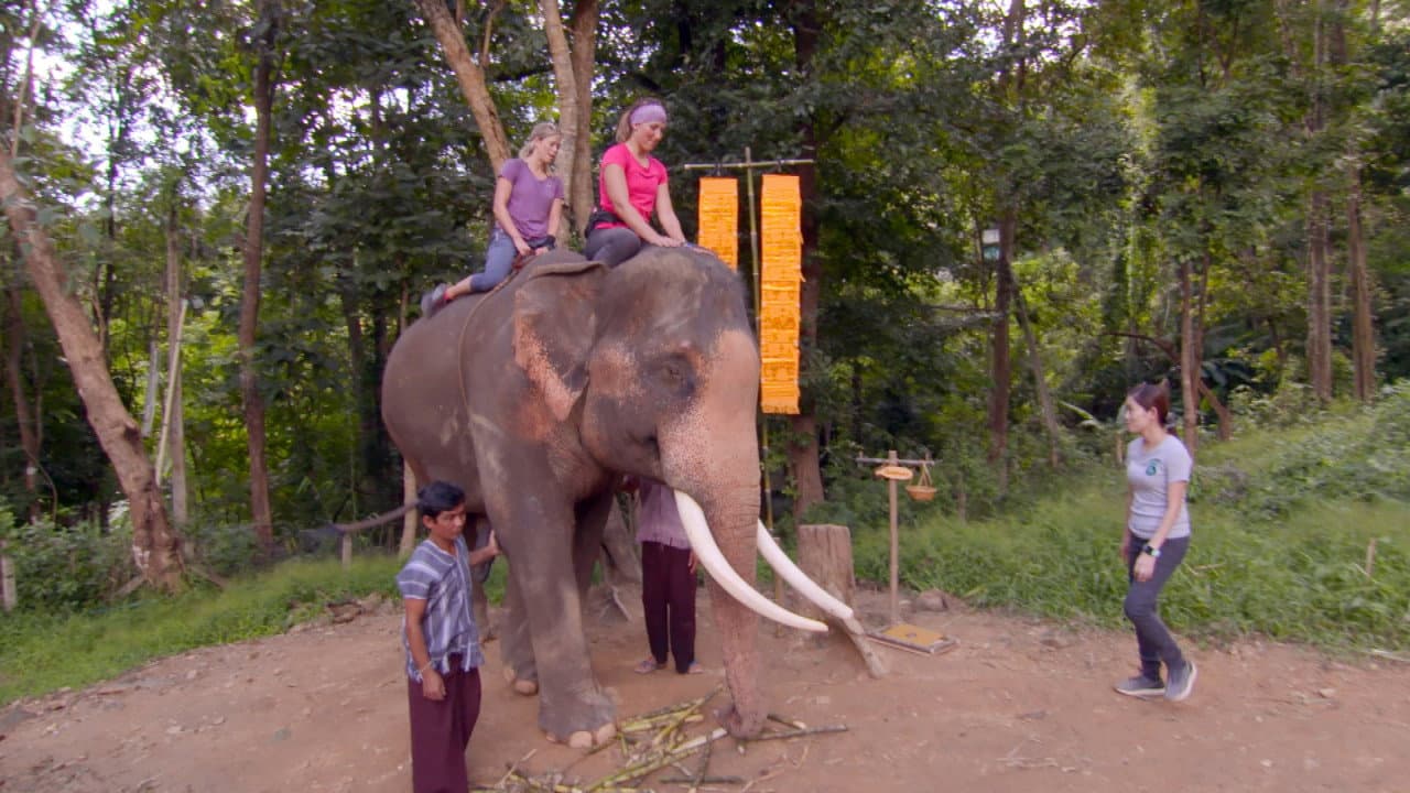 Still from The First Rule of the Amazing Race Club (2)