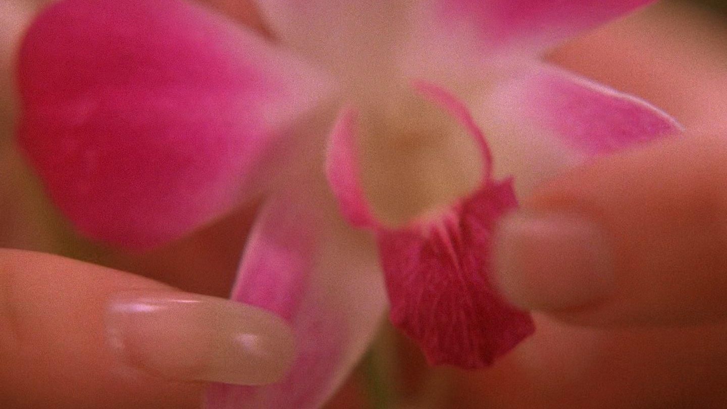 Still from The Orchid's Curse