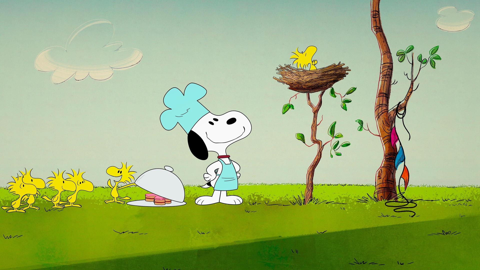 Still from Just Your Basic Beagle