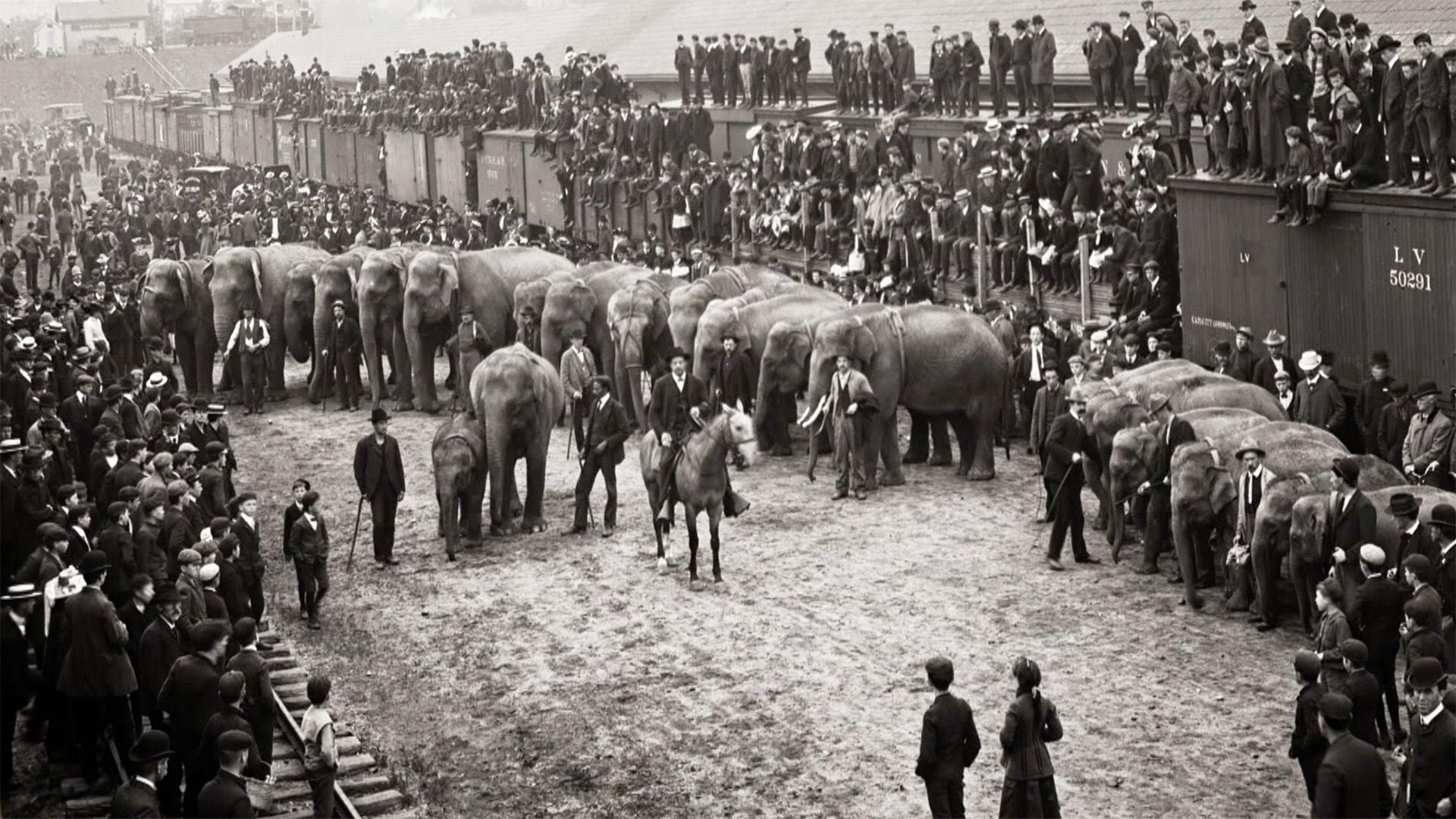 Still from The Circus (1)