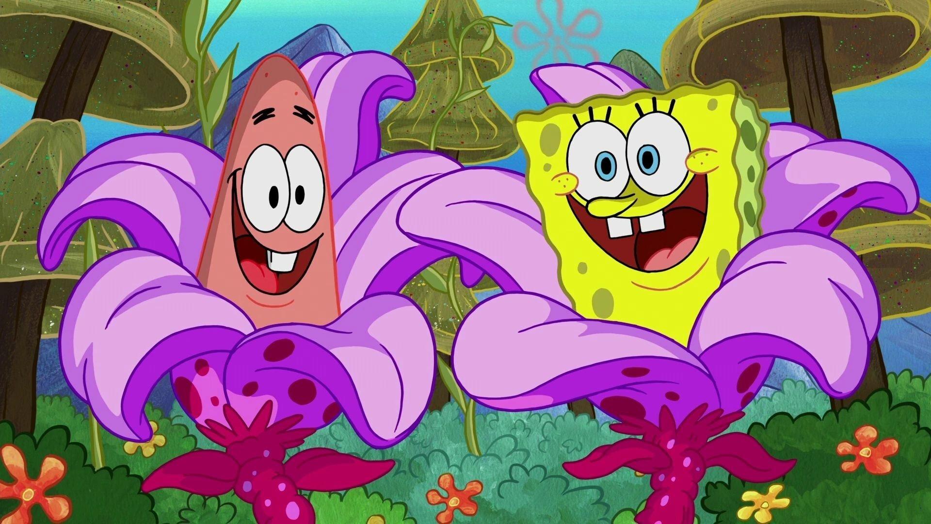 Still from Pineapple RV