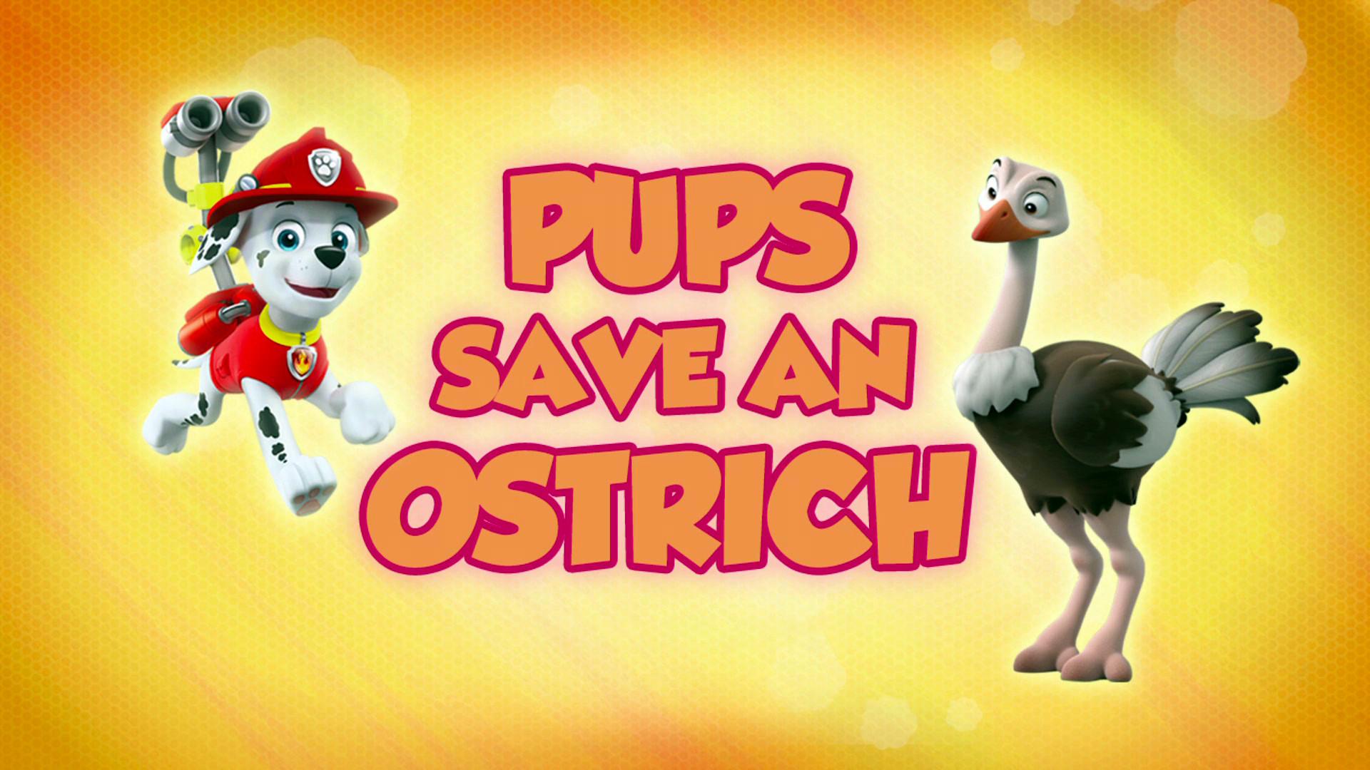 Still from Pups Save an Ostrich