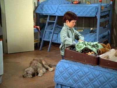 Still from Every Boy Does It Once