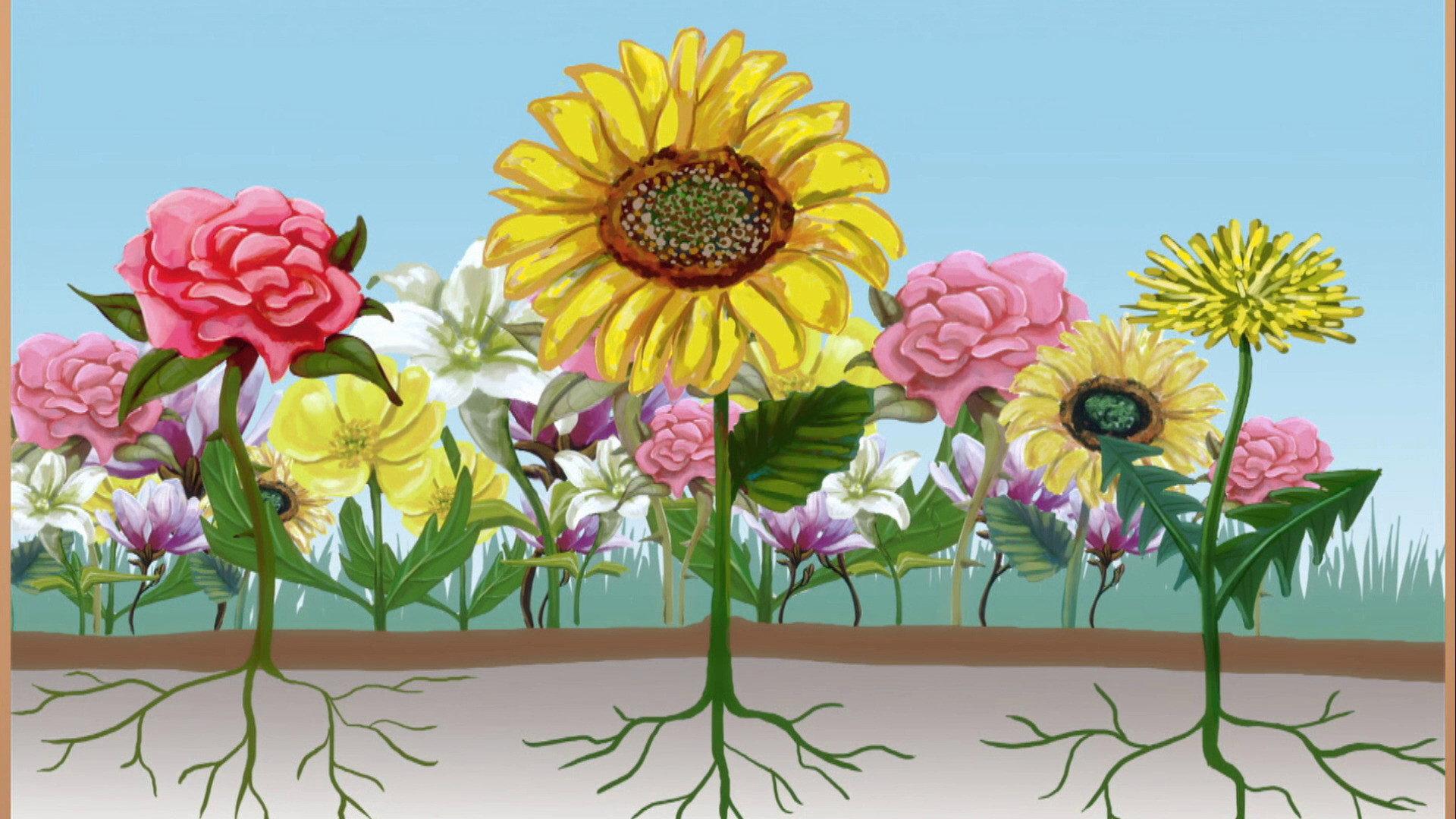 Still from Tiny's Garden