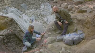 Still from The Missing Links