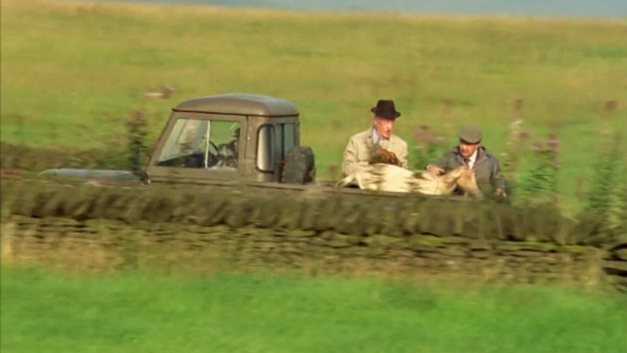 Still from From Here To Paternity