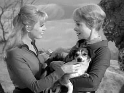 Still from One of Our Dogs Is Missing