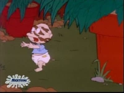 Still from Moose Country