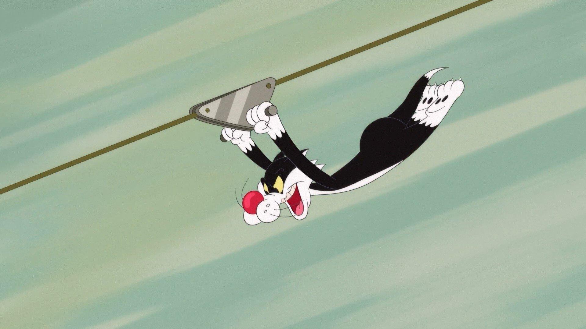 Still from Zip Line