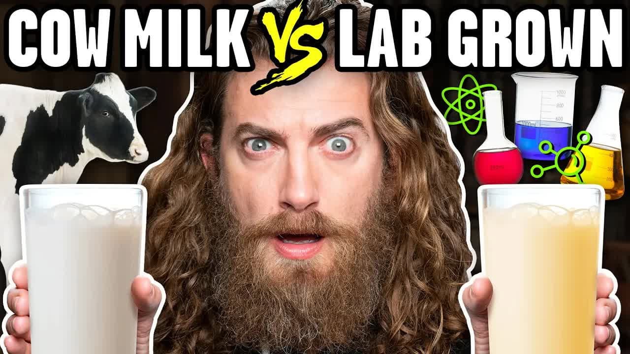 Still from Lab Grown Dairy Taste Test