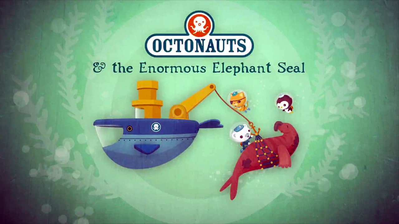Still from The Enormous Elephant Seal