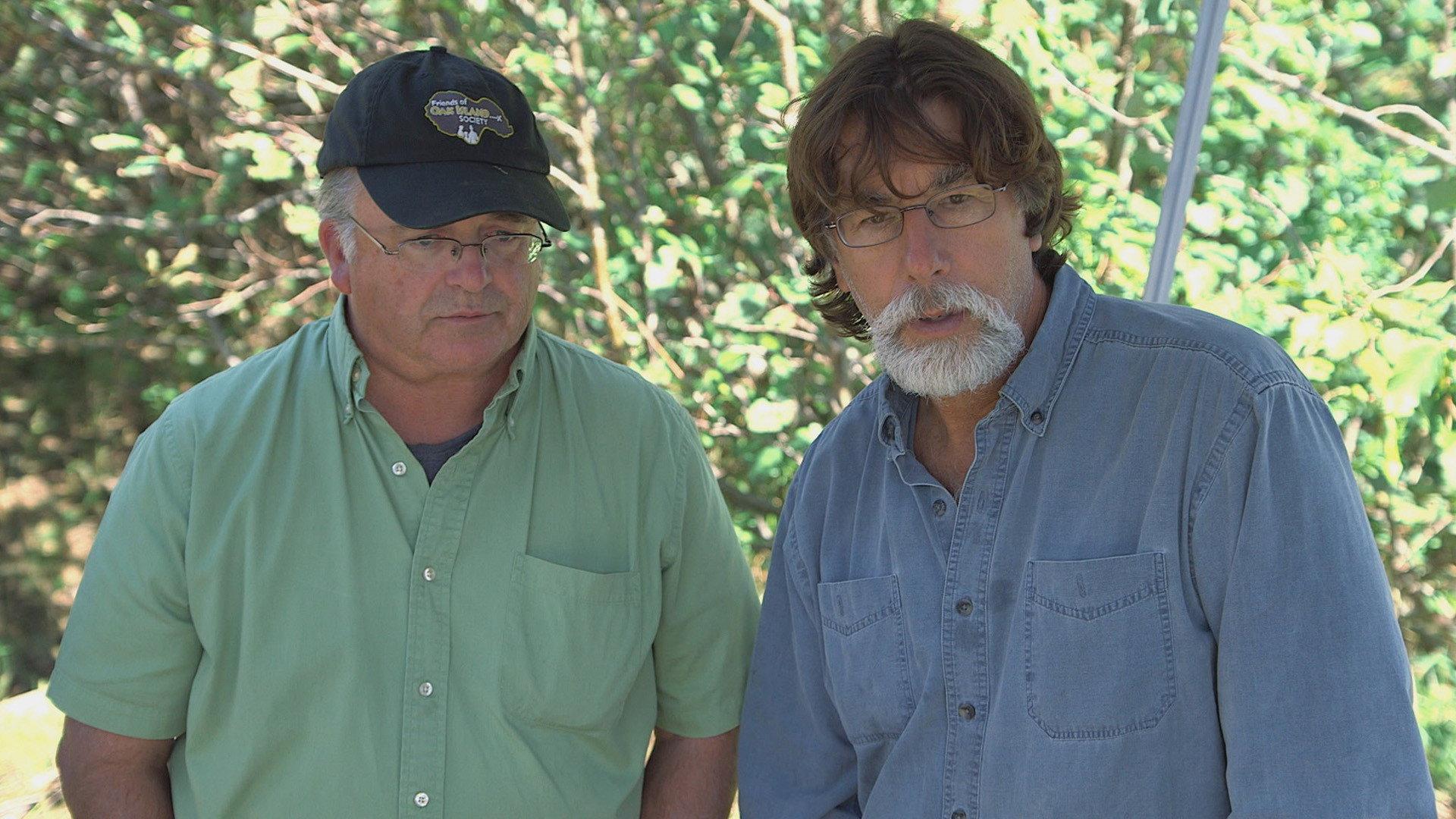 Still from Secrets and Revelations