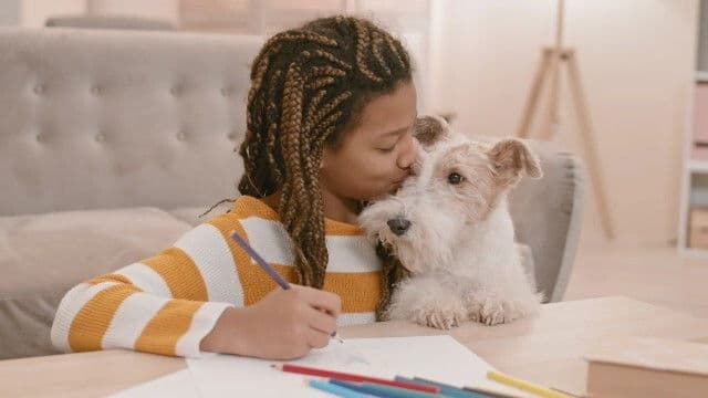 Still from Dogs