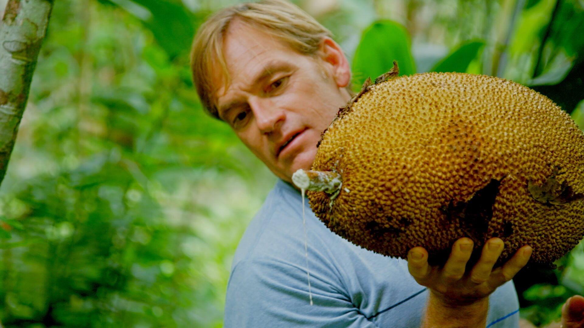 Still from Costa Rica