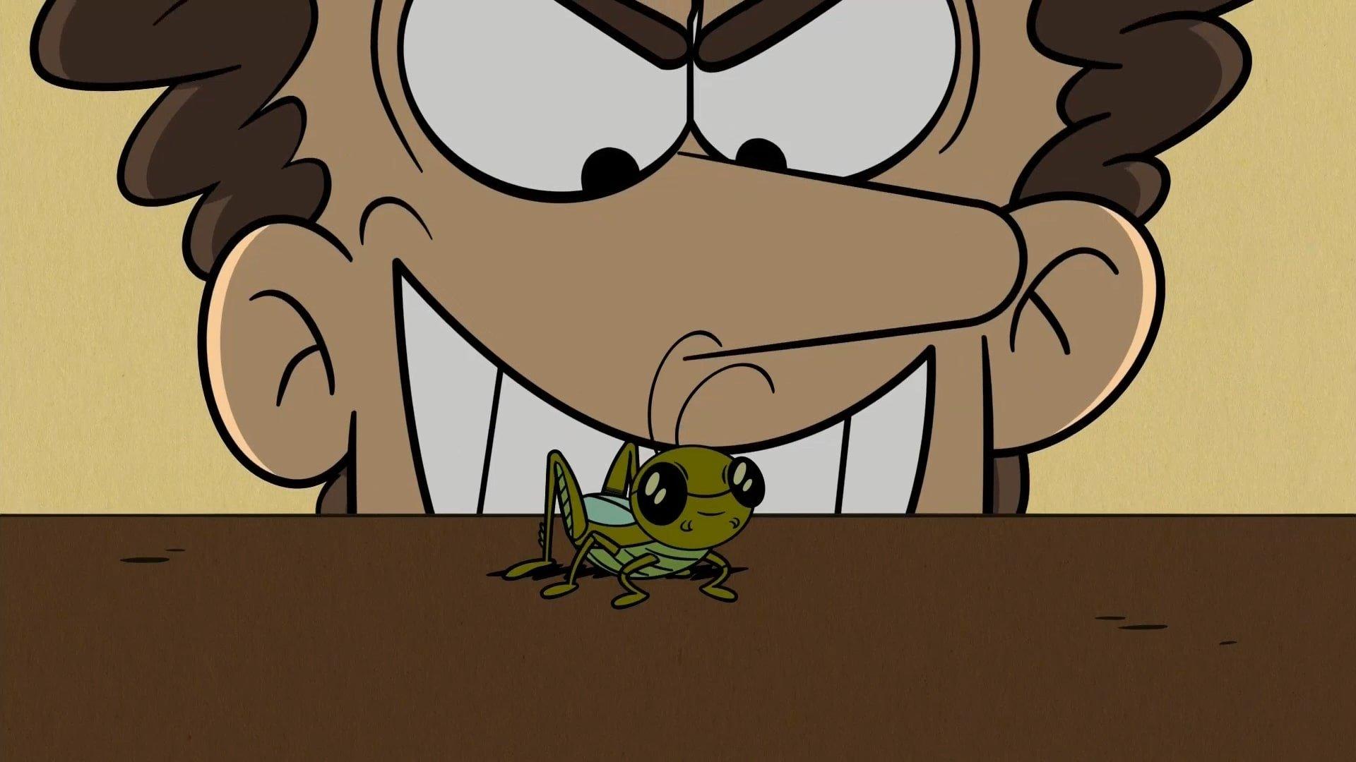 Still from A Bug’s Strife